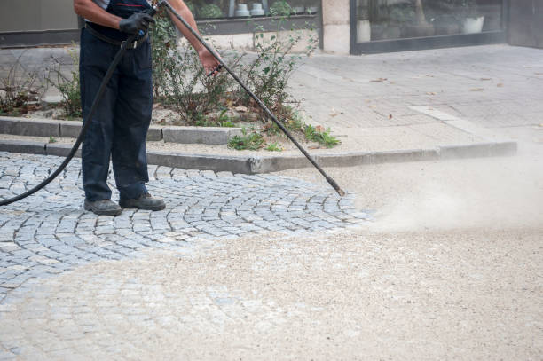 Best Pre-Holiday Cleaning  in Frankston, TX
